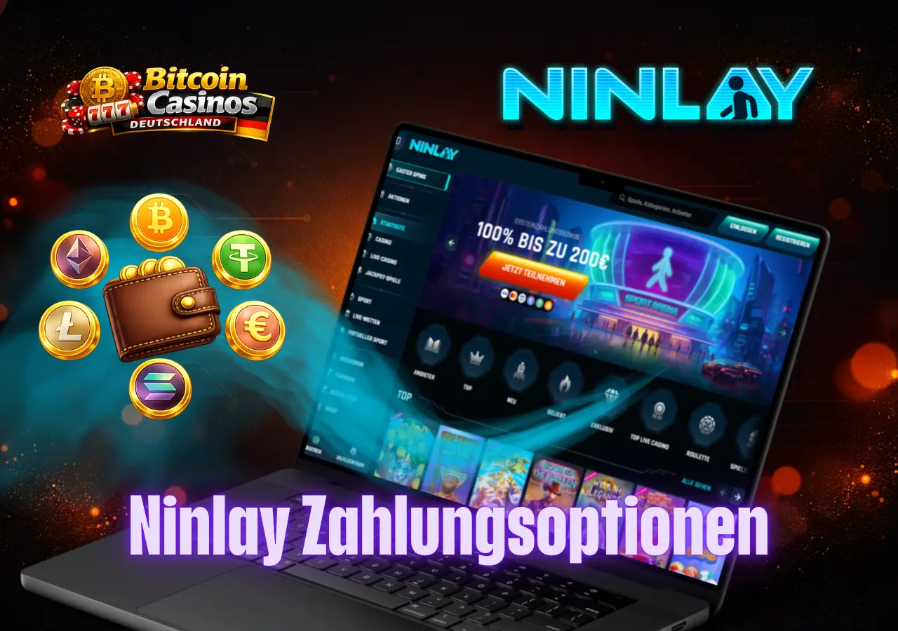 Ninlay Zahlungsoptionen mit schnellen Transaktionen